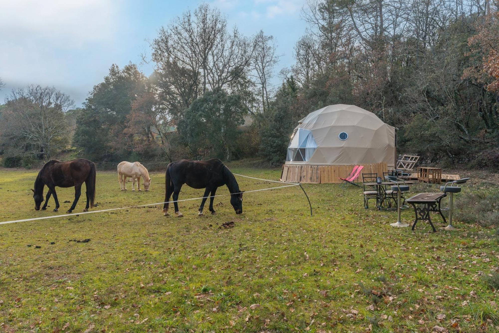 La Cabane Aux Chevaux Varages Exterior photo